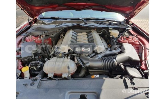 Nunua Imported Ford Mustang Red Gari ndani ya Import - Dubai nchini Malawi Nunua Imported Ford Mustang Red Gari ndani ya Import - Dubai nchini Malawi