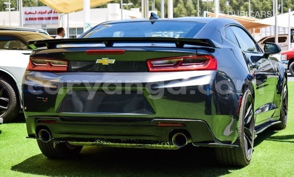 Buy Import Chevrolet Camaro Other Car in Import - Dubai in Malawi Buy Import Chevrolet Camaro Other Car in Import - Dubai in Malawi