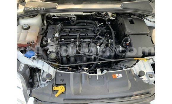Buy Import Ford Focus White Car in Import - Dubai in Malawi Buy Import Ford Focus White Car in Import - Dubai in Malawi