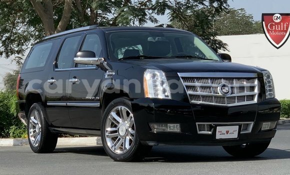Buy Import Cadillac Escalade Black Car in Import - Dubai in Malawi
