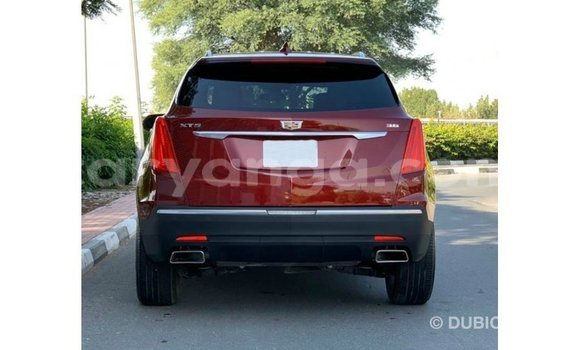 Buy Import Cadillac XT5 Red Car in Import - Dubai in Malawi Buy Import Cadillac XT5 Red Car in Import - Dubai in Malawi