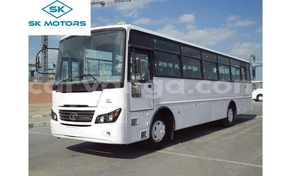 Buy Import Tata Xenon White Car in Import - Dubai in Malawi