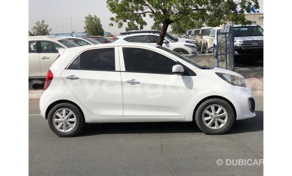 Nunua Imported Kia Picanto White Gari ndani ya Import - Dubai nchini Malawi Nunua Imported Kia Picanto White Gari ndani ya Import - Dubai nchini Malawi