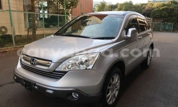 Buy Import Honda CR–V Silver Car in Blantyre in Malawi Buy Import Honda CR–V Silver Car in Blantyre in Malawi