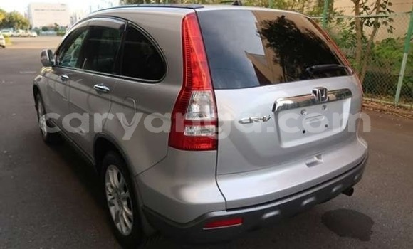 Buy Import Honda CR–V Silver Car in Blantyre in Malawi Buy Import Honda CR–V Silver Car in Blantyre in Malawi