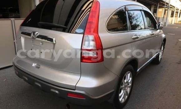 Buy Import Honda CR–V Silver Car in Blantyre in Malawi Buy Import Honda CR–V Silver Car in Blantyre in Malawi