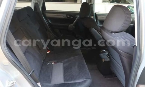 Buy Import Honda CR–V Silver Car in Blantyre in Malawi Buy Import Honda CR–V Silver Car in Blantyre in Malawi