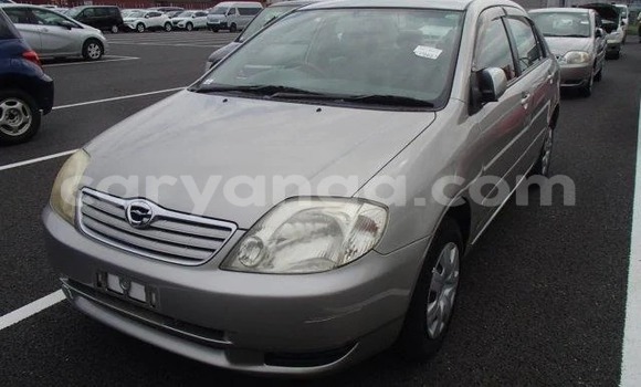 Buy Import Toyota Corolla Other Car in Blantyre in Malawi