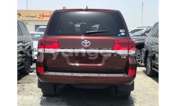 Buy Import Toyota Land Cruiser Red Car in Import - Dubai in Malawi Buy Import Toyota Land Cruiser Red Car in Import - Dubai in Malawi