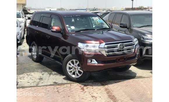 Buy Import Toyota Land Cruiser Red Car in Import - Dubai in Malawi Buy Import Toyota Land Cruiser Red Car in Import - Dubai in Malawi