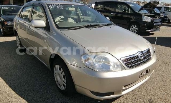 Buy Import Toyota Corolla Other Car in Blantyre in Malawi