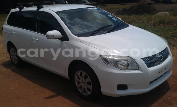 Buy New Toyota Fielder White Car in Lilongwe in Malawi