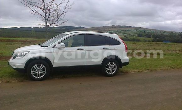 Buy Used Mazda 323 Black Car in Limbe in Malawi