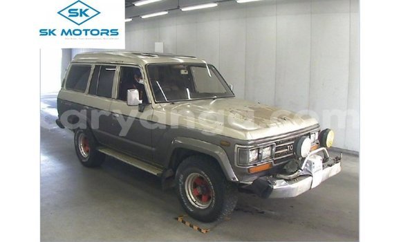 Buy Import Toyota Land Cruiser Other Car in Import - Dubai in Malawi
