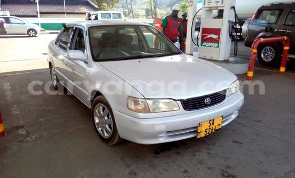 Buy Used Toyota Corolla Black Car in Limbe in Malawi