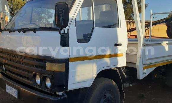 Buy Used Toyota Dyna White Truck in Blantyre in Malawi Buy Used Toyota Dyna White Truck in Blantyre in Malawi