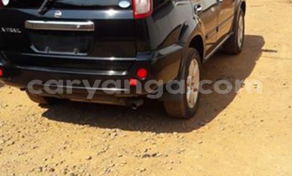 Buy Used Nissan X–Trail Black Car in Limbe in Malawi Buy Used Nissan X–Trail Black Car in Limbe in Malawi