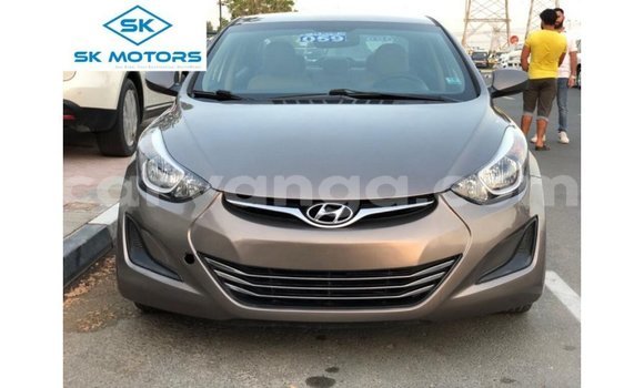 Buy Import Hyundai Elantra Brown Car in Import - Dubai in Malawi