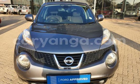 Nunua Ilio tumika Nissan Juke Other Gari ndani ya Blantyre nchini Malawi Nunua Ilio tumika Nissan Juke Other Gari ndani ya Blantyre nchini Malawi