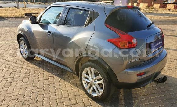 Nunua Ilio tumika Nissan Juke Other Gari ndani ya Blantyre nchini Malawi Nunua Ilio tumika Nissan Juke Other Gari ndani ya Blantyre nchini Malawi