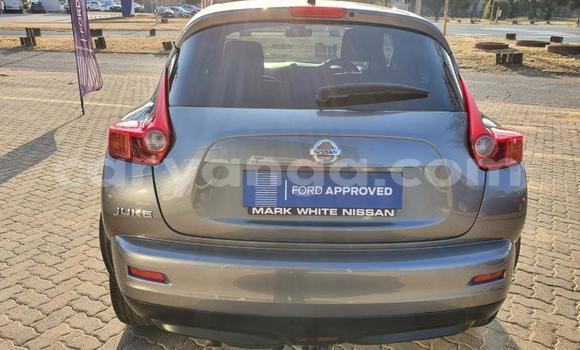 Nunua Ilio tumika Nissan Juke Other Gari ndani ya Blantyre nchini Malawi Nunua Ilio tumika Nissan Juke Other Gari ndani ya Blantyre nchini Malawi