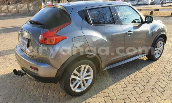 Nunua Ilio tumika Nissan Juke Other Gari ndani ya Blantyre nchini Malawi Nunua Ilio tumika Nissan Juke Other Gari ndani ya Blantyre nchini Malawi