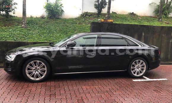 Buy Used Audi A8 Black Car in Blantyre in Malawi Buy Used Audi A8 Black Car in Blantyre in Malawi