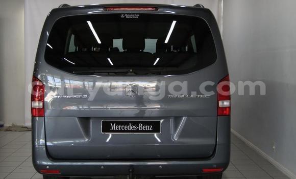 Buy Used Mercedes‒Benz 190–Series Silver Car in Chilumba in Karonga Buy Used Mercedes‒Benz 190–Series Silver Car in Chilumba in Karonga