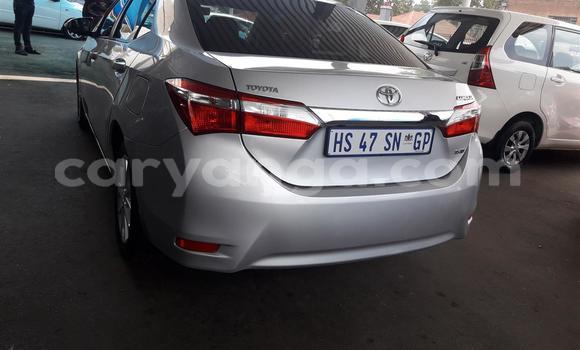 Buy Used Toyota Corolla Silver Car in Chilumba in Karonga Buy Used Toyota Corolla Silver Car in Chilumba in Karonga