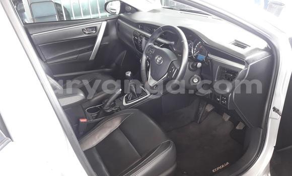 Buy Used Toyota Corolla Silver Car in Chilumba in Karonga Buy Used Toyota Corolla Silver Car in Chilumba in Karonga