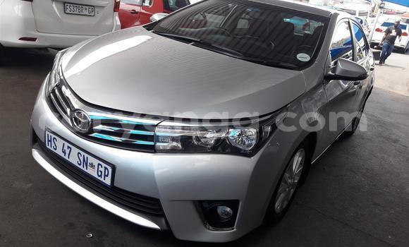 Buy Used Toyota Corolla Silver Car in Chilumba in Karonga Buy Used Toyota Corolla Silver Car in Chilumba in Karonga