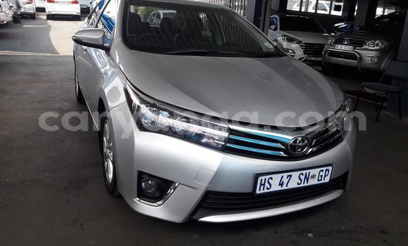 Buy Used Toyota Corolla Silver Car in Chilumba in Karonga Buy Used Toyota Corolla Silver Car in Chilumba in Karonga