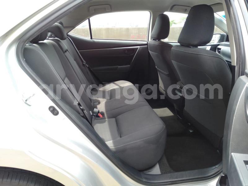 Big with watermark whatsapp image 2019 01 10 at 1.31.46 pm 1 