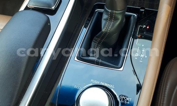 Buy Used Lexus GS Brown Car in Blantyre in Malawi Buy Used Lexus GS Brown Car in Blantyre in Malawi