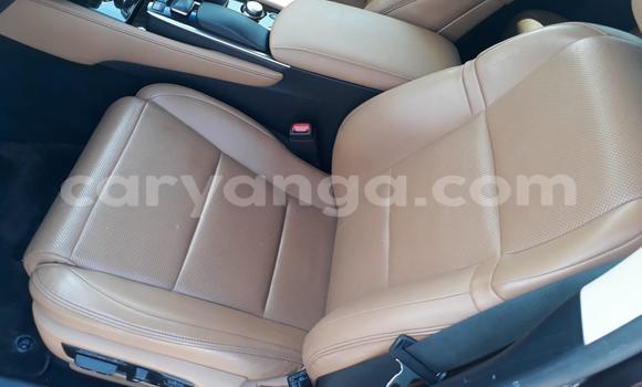 Buy Used Lexus GS Brown Car in Blantyre in Malawi Buy Used Lexus GS Brown Car in Blantyre in Malawi