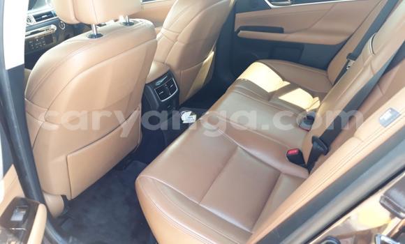 Buy Used Lexus GS Brown Car in Blantyre in Malawi Buy Used Lexus GS Brown Car in Blantyre in Malawi