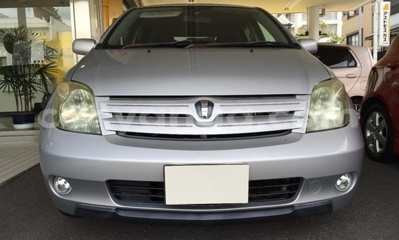 Buy Used Toyota IST Silver Car in Blantyre in Malawi Buy Used Toyota IST Silver Car in Blantyre in Malawi