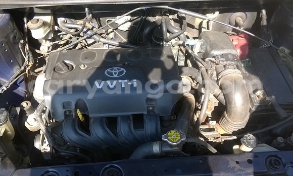 Nunua Ilio tumika Toyota Vitz Black Gari ndani ya Lilongwe nchini Malawi Nunua Ilio tumika Toyota Vitz Black Gari ndani ya Lilongwe nchini Malawi