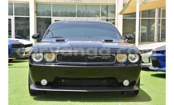 Buy Import Dodge Challenger Black Car in Import - Dubai in Malawi