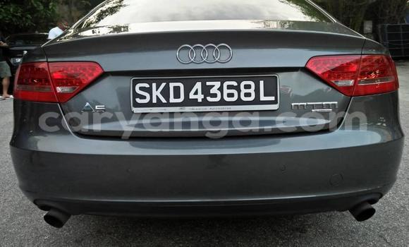 Buy Used Audi A5 Other Car in Blantyre in Malawi Buy Used Audi A5 Other Car in Blantyre in Malawi