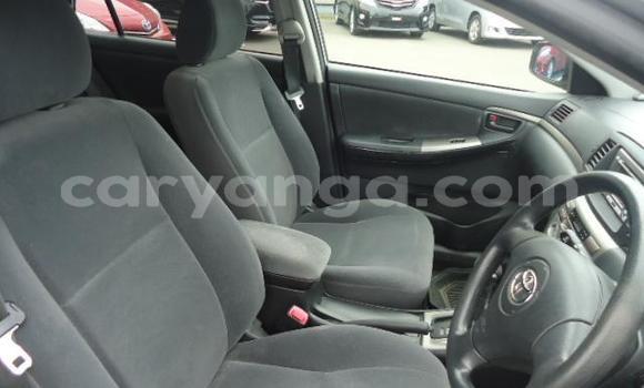 Buy Used Toyota Runx Silver Car in Blantyre in Malawi Buy Used Toyota Runx Silver Car in Blantyre in Malawi