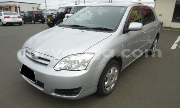 Buy Used Toyota Runx Silver Car in Blantyre in Malawi Buy Used Toyota Runx Silver Car in Blantyre in Malawi