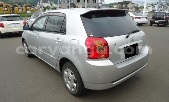 Buy Used Toyota Runx Silver Car in Blantyre in Malawi Buy Used Toyota Runx Silver Car in Blantyre in Malawi