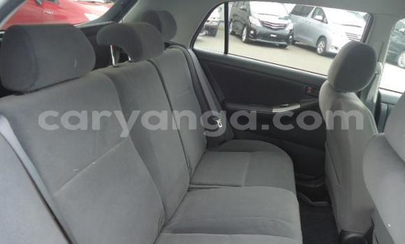 Buy Used Toyota Runx Silver Car in Blantyre in Malawi Buy Used Toyota Runx Silver Car in Blantyre in Malawi