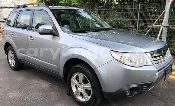 Buy Used Subaru Forester Silver Car in Blantyre in Malawi