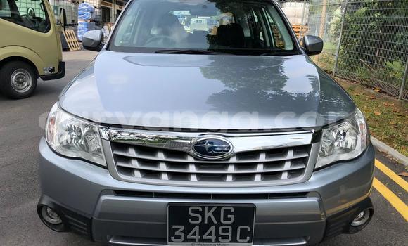 Buy Used Subaru Forester Silver Car in Blantyre in Malawi Buy Used Subaru Forester Silver Car in Blantyre in Malawi