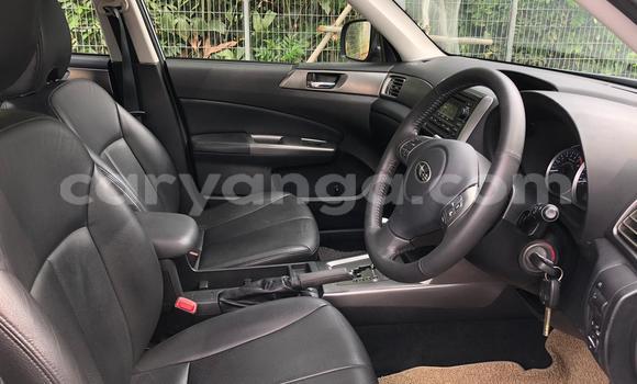 Buy Used Subaru Forester Silver Car in Blantyre in Malawi Buy Used Subaru Forester Silver Car in Blantyre in Malawi