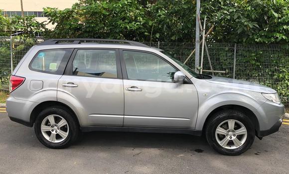 Buy Used Subaru Forester Silver Car in Blantyre in Malawi Buy Used Subaru Forester Silver Car in Blantyre in Malawi