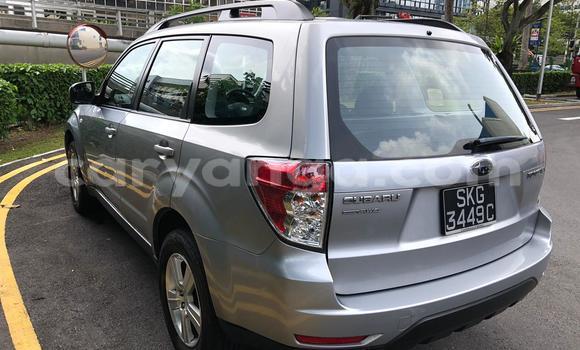 Buy Used Subaru Forester Silver Car in Blantyre in Malawi Buy Used Subaru Forester Silver Car in Blantyre in Malawi