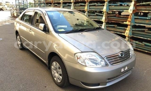 Buy Import Toyota Corolla Beige Car in Lilongwe in Malawi